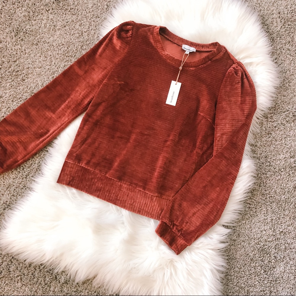 Velvety puff sleeve sweater top from Revolve, brand new with tags